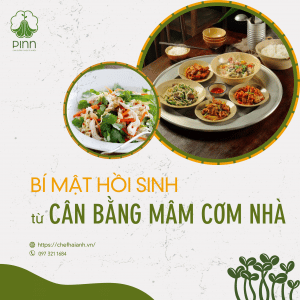 Hồi Sinh từ Cân Bằng Mâm Cơm Nhà