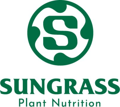 Sungrass Việt Nam